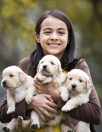 Child holding puppies at St. Francis 24hr Animal Hospital