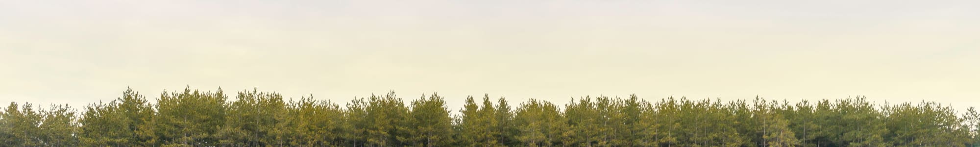 Self storage units for rent in Bangor, Maine