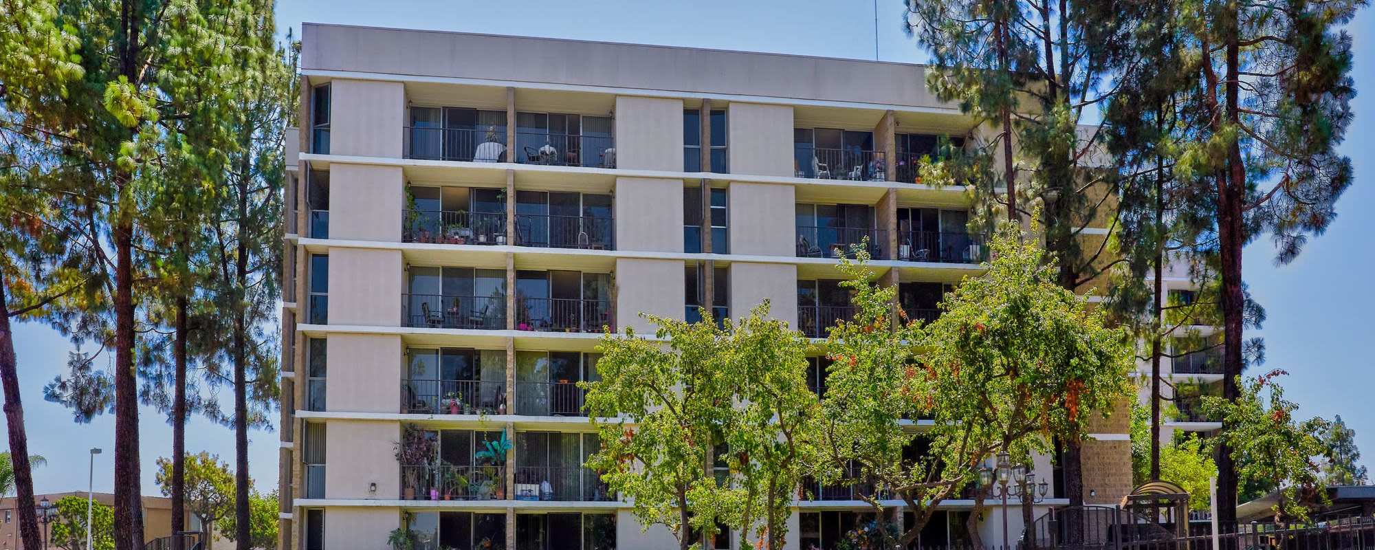 Apartments at El Cajon Sr Towers in El Cajon, California