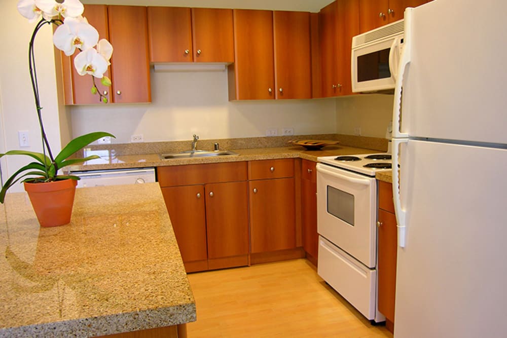 1010 Pacific Apartments offers stylishly appointed kitchens