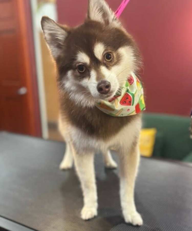 Scout photo at AMP Residential in Grand Rapids, Michigan