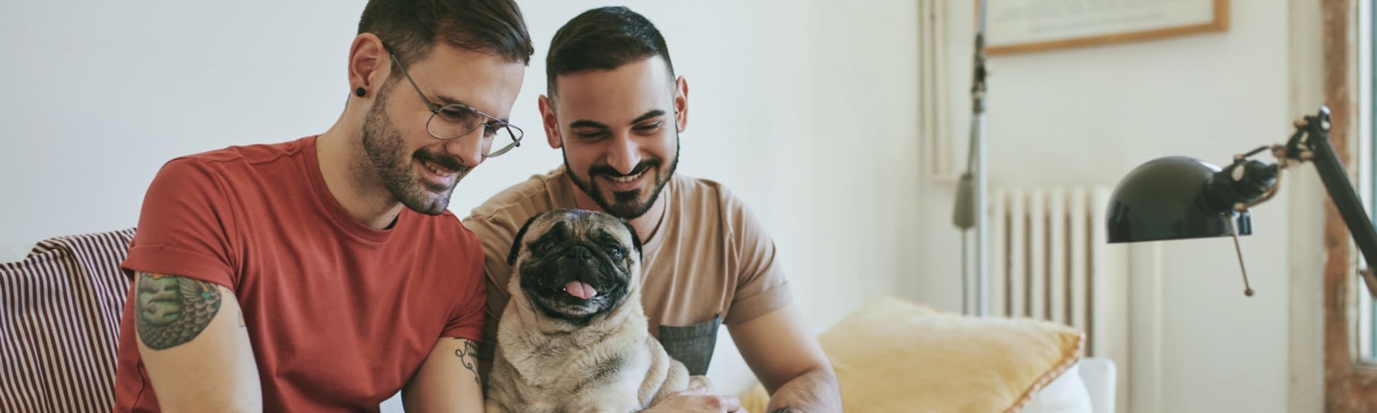 Pet-friendly apartments at The Avenue in Ocoee, Florida