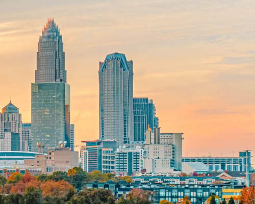 A Photo of Charlotte