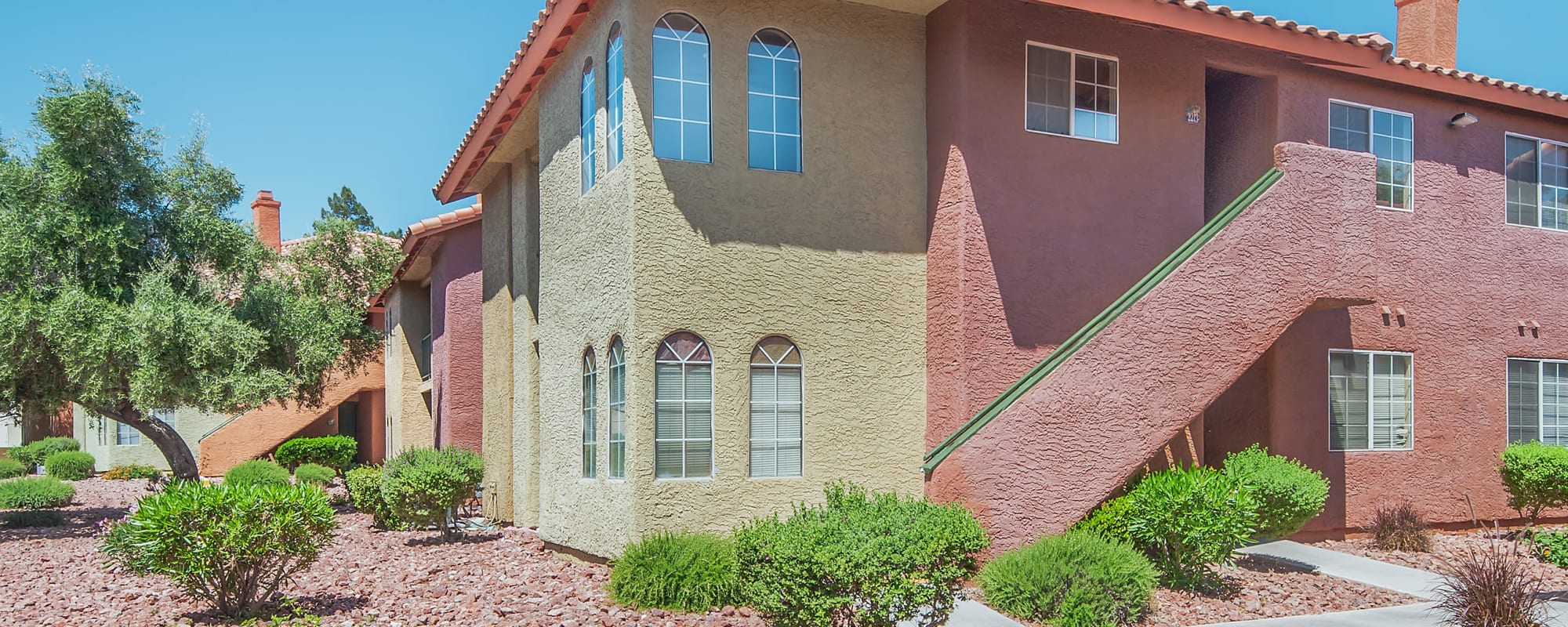 Pet-friendly apartments at Artisan Apartments in Las Vegas, Nevada