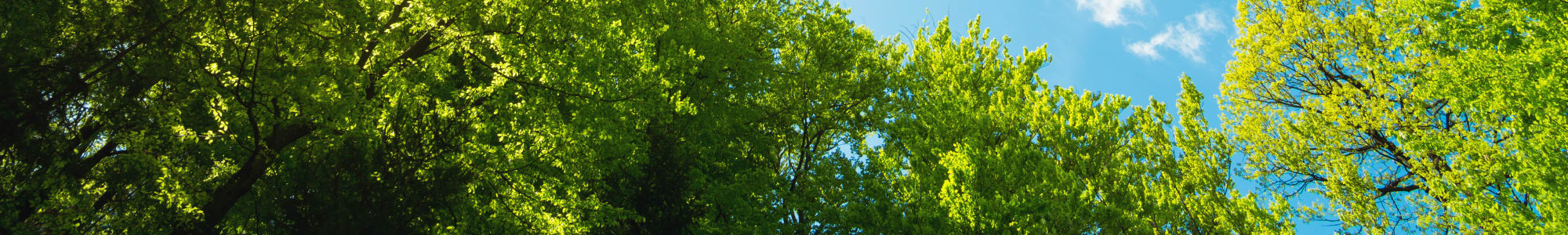 Pet friendly apartments in Washington, New Jersey