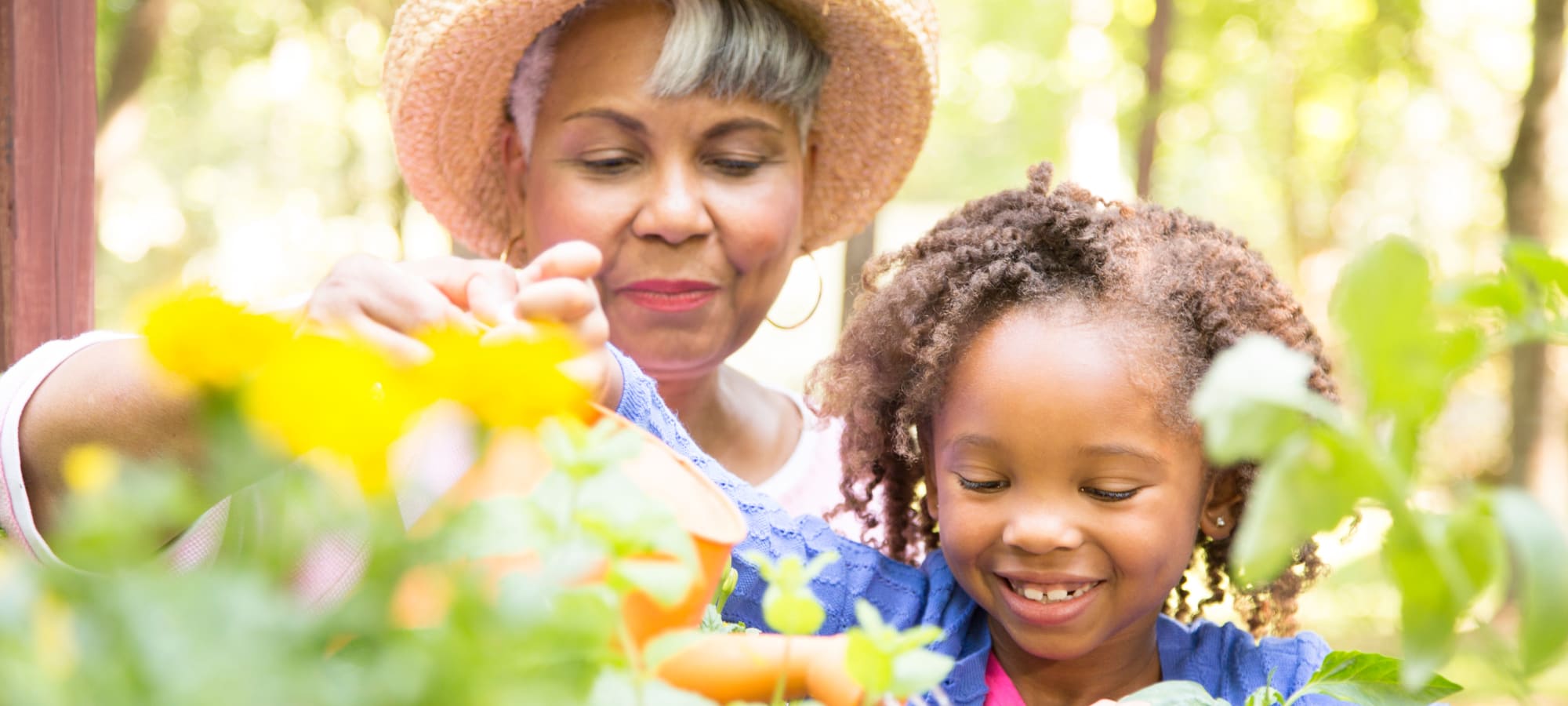 Elderly woman and child touching flowers