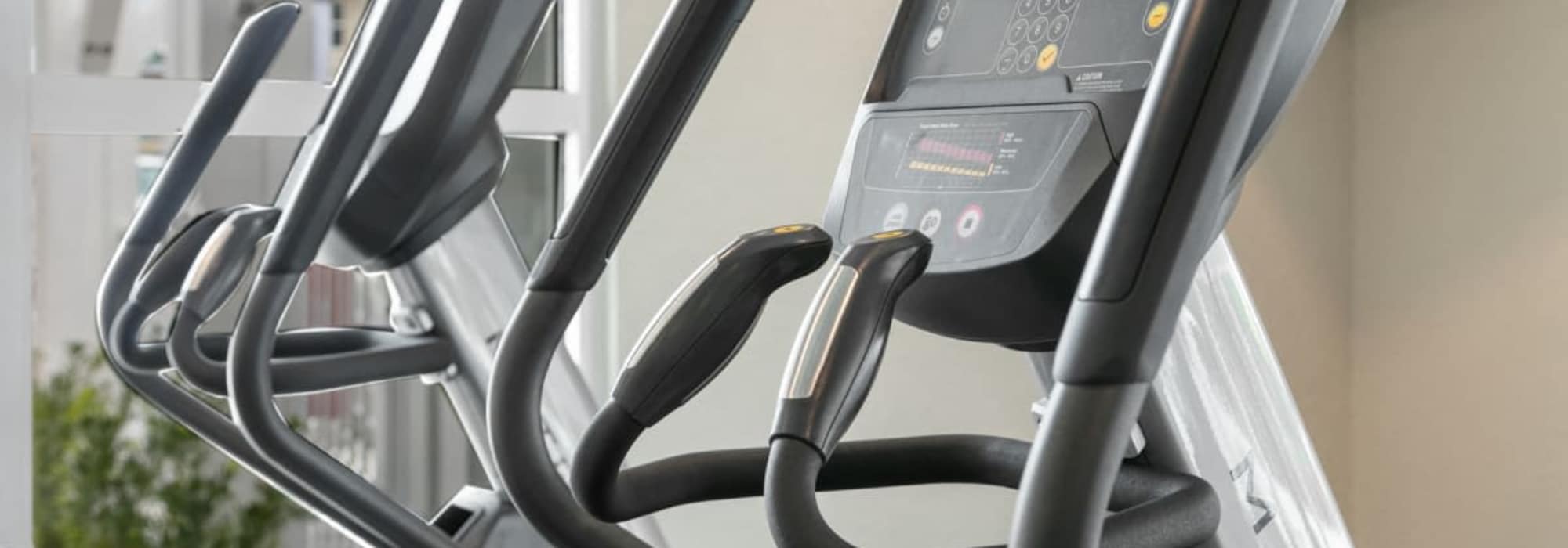 Cardio equipment at The Bergamot Apartments On 780 in Sarasota, Florida