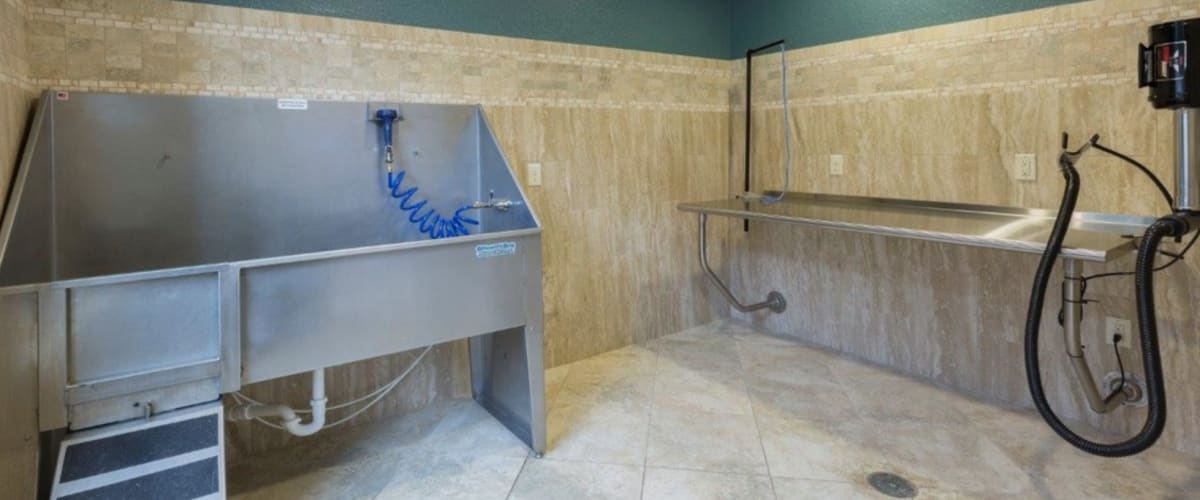 Full-sized pet wash station at The Courtney at Lake Shadow in Orlando, Florida