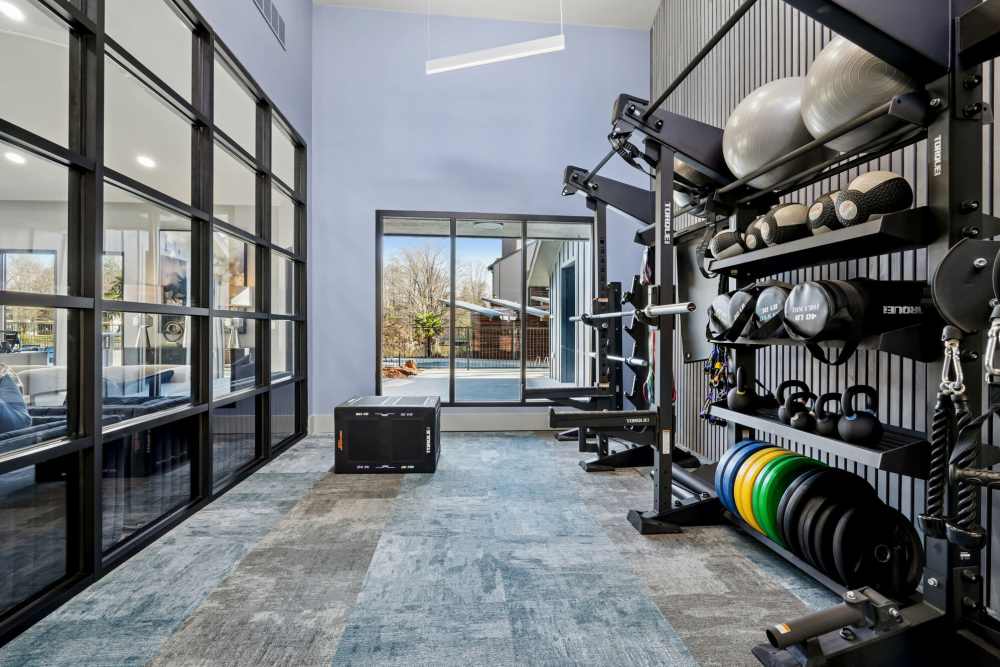 Fitness studio with dumbbells and large window at Stillwater in Charlotte, North Carolina