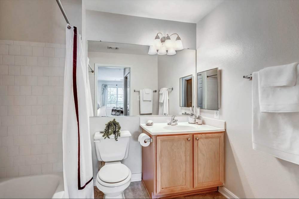 Bright bathroom with dual sinks, wooden cabinetry, and modern fixtures, featuring a shower with a white curtain at J Harbor Park at North Point in Reston, Virginia