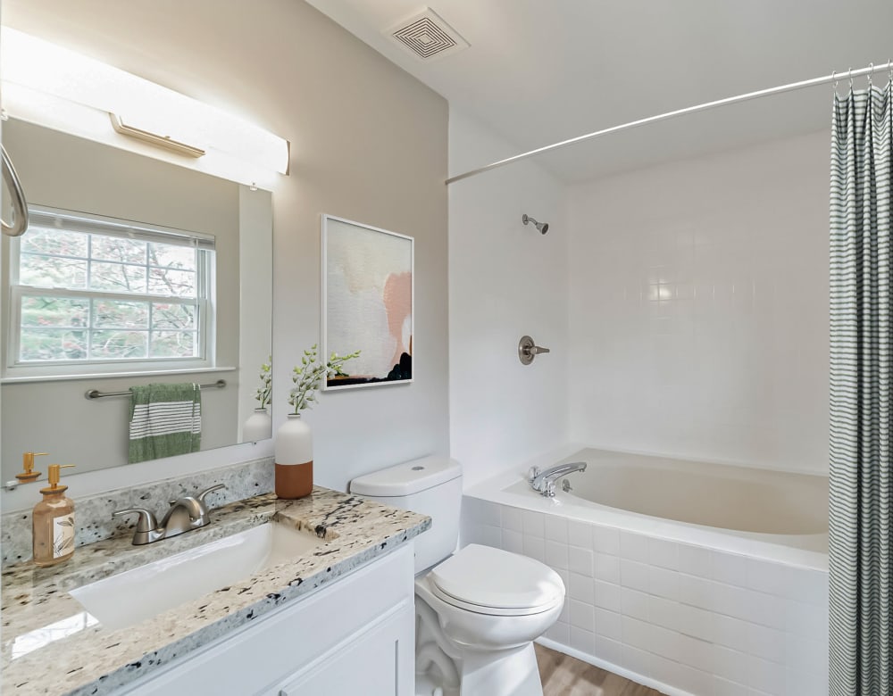 Eagle Rock Apartments at Bel Air North offers a Modern Bathroom in Forest Hill, Maryland