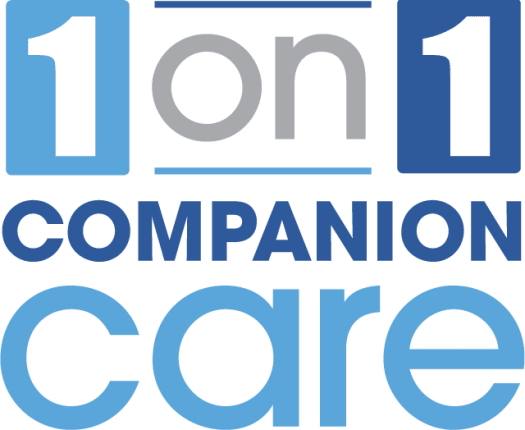 one-on-one companion care