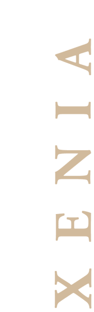 Divider Image