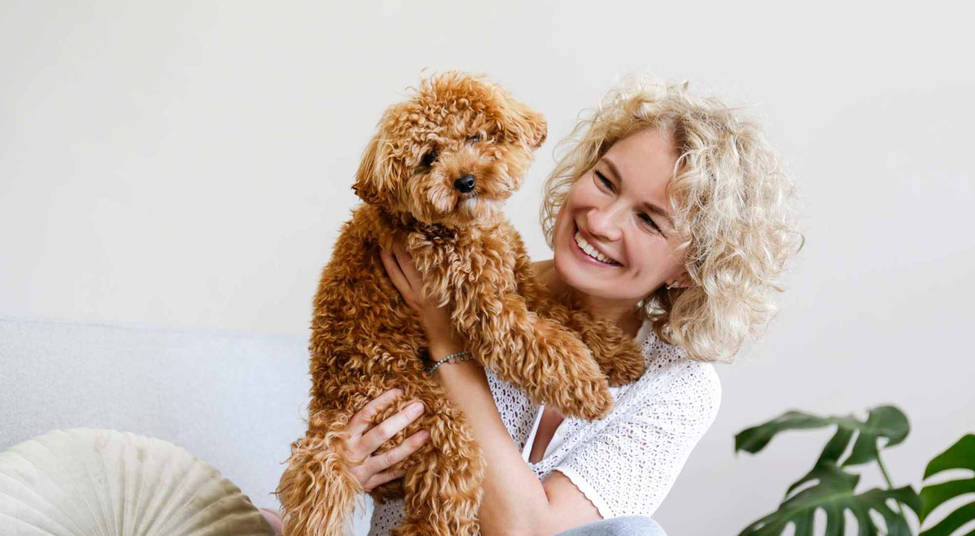 Pet Friendly | Cityville on 9th in Des Moines, Iowa