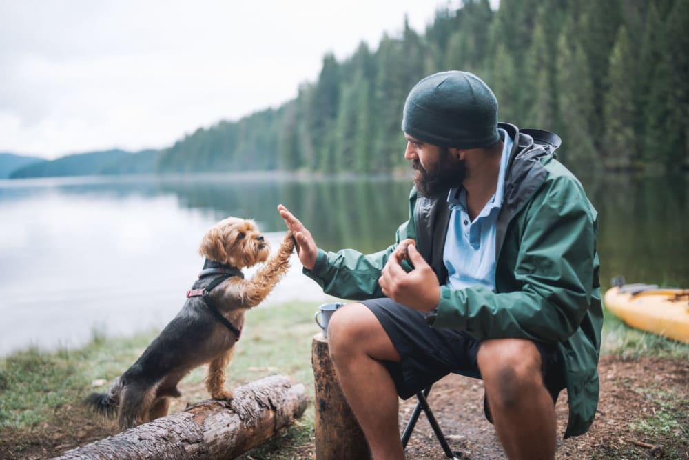 Pet-friendly homes at Markwood Apartments in Burlington, Washington 