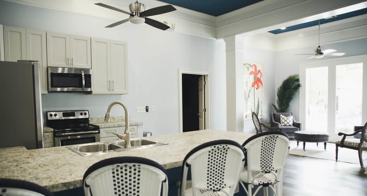 Kitchen at Brighton Park Apartments in Byron, Georgia