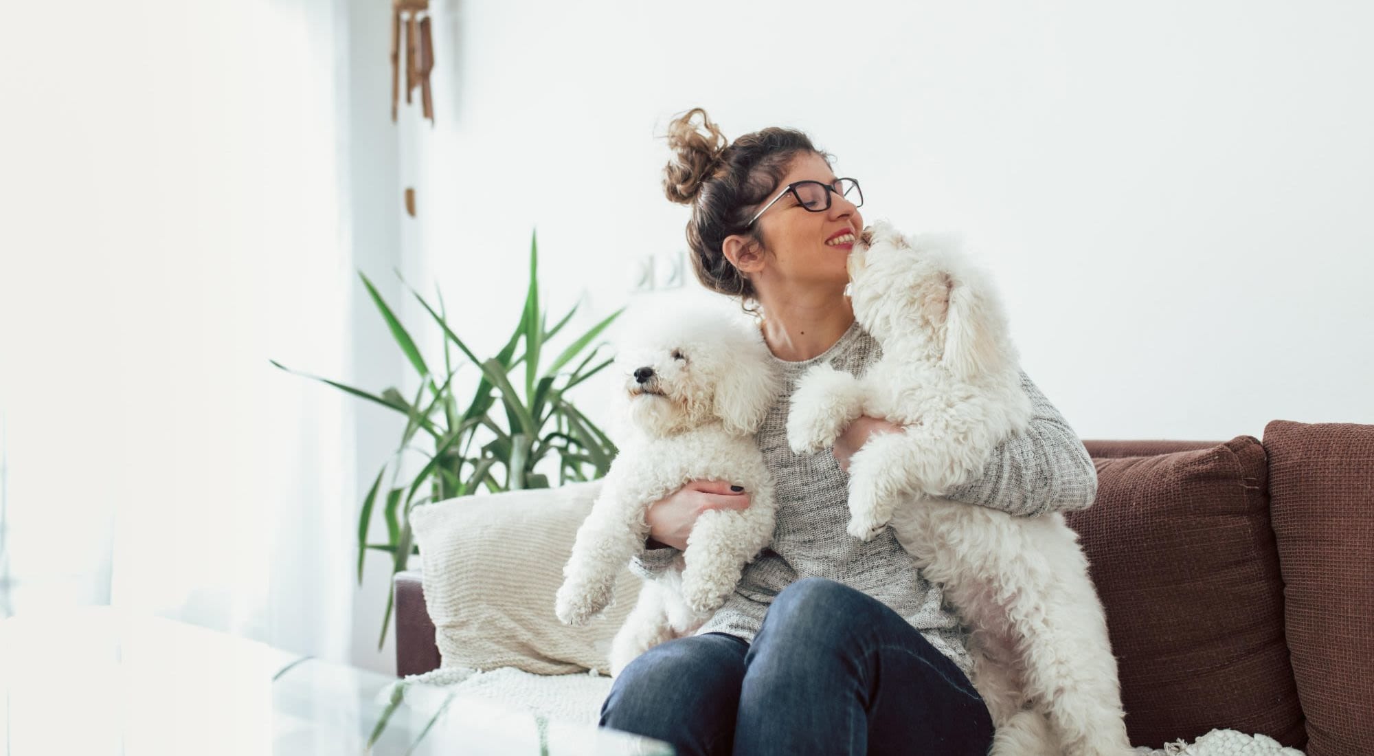 Pet Friendly | City Summit Apartments in San Antonio, Texas