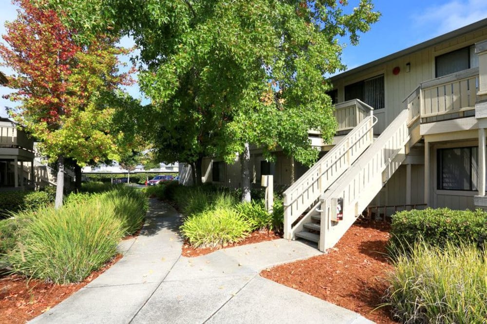 Exterior of Summerhill Terrace Apartment Homes with manicured landscaping in San Leandro, California