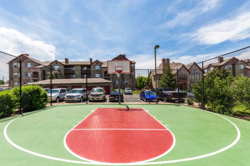 Outdoor basketball court with scenic mountain views at The Links at Plum Creek in Castle Rock, Colorado