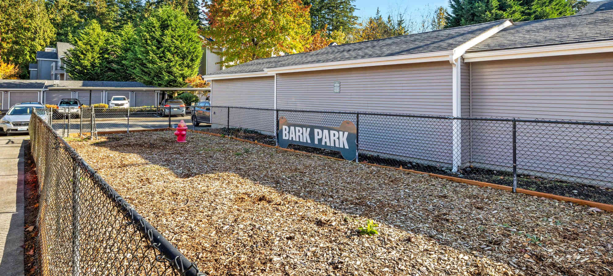 Pet Friendly at Wildreed Apartments in Everett, Washington 