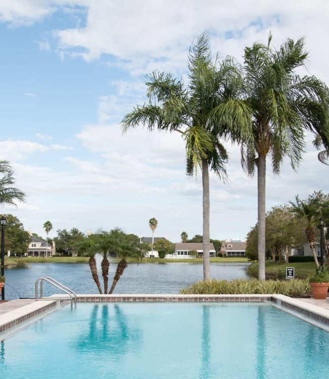 The pool with palm trees next to it at Fairways at Feather Sound in Clearwater, FL