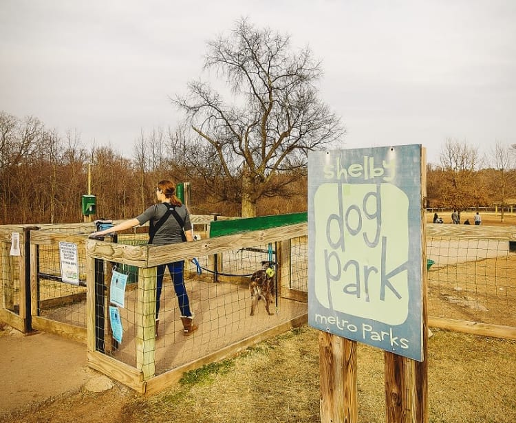 Dog park in Nashville, TN near Heritage East