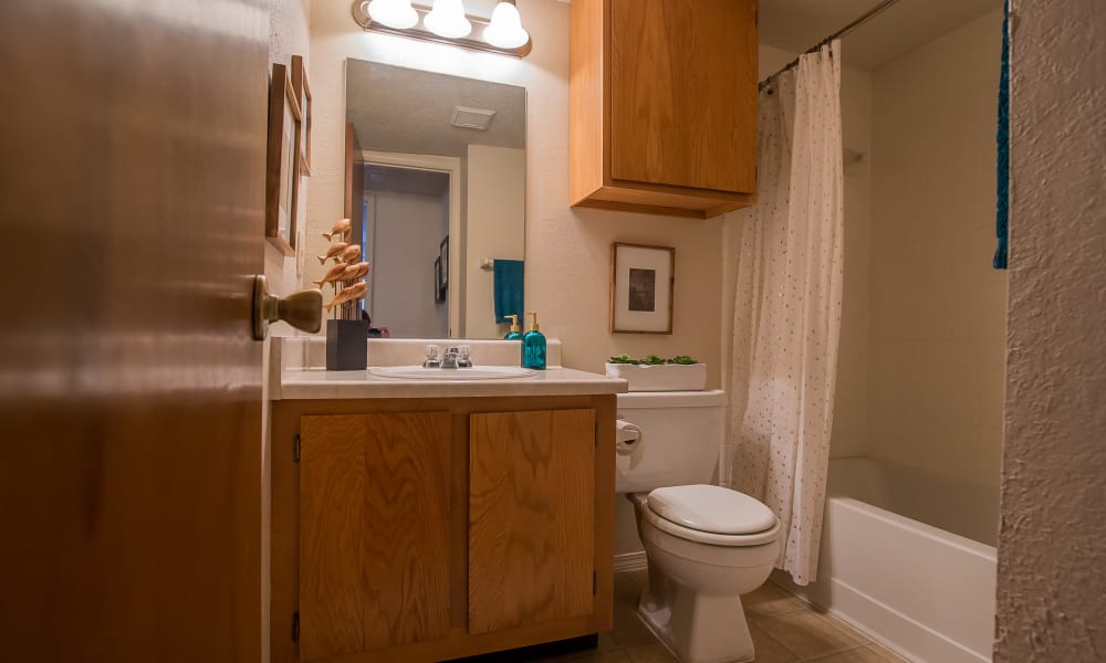 Bathroom at Silver Springs Apartments in Wichita, Kansas