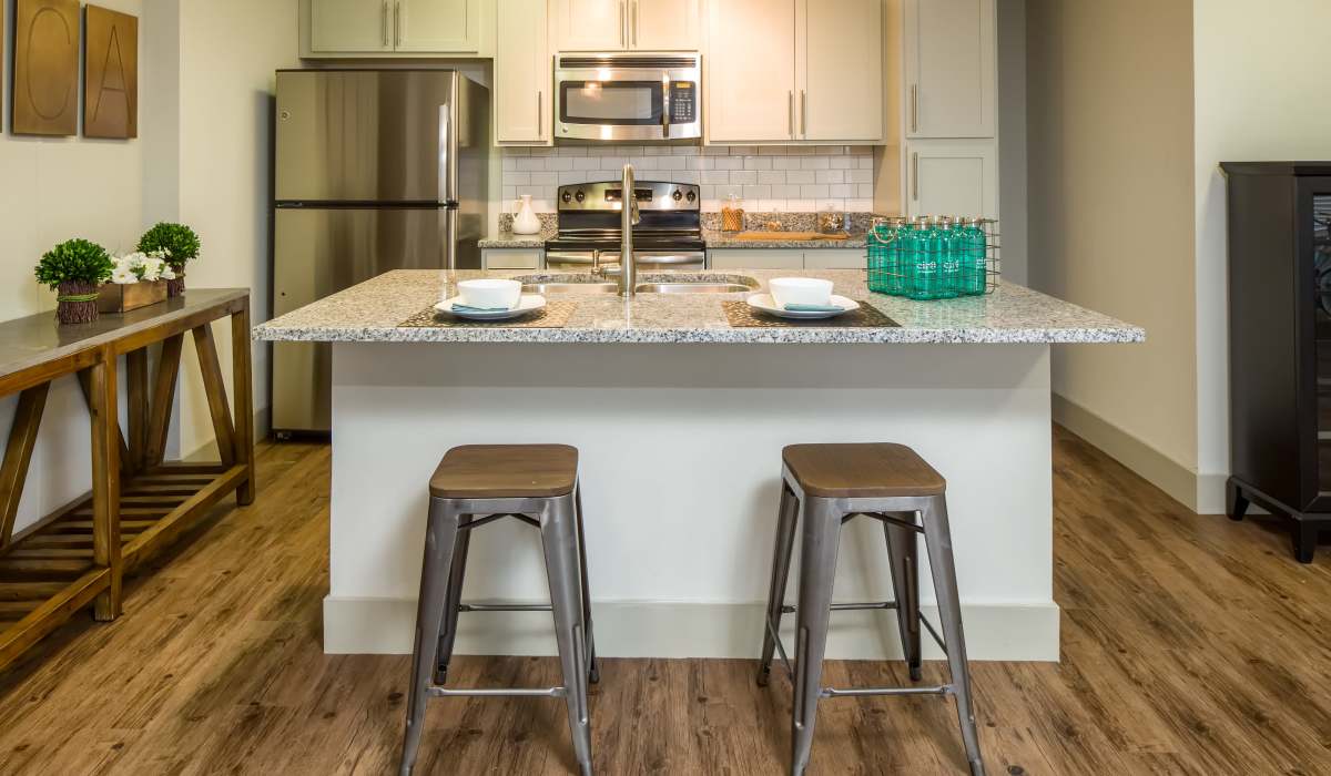 Modern kitchen at Circa at Fishhawk Ranch in Lithia, Florida