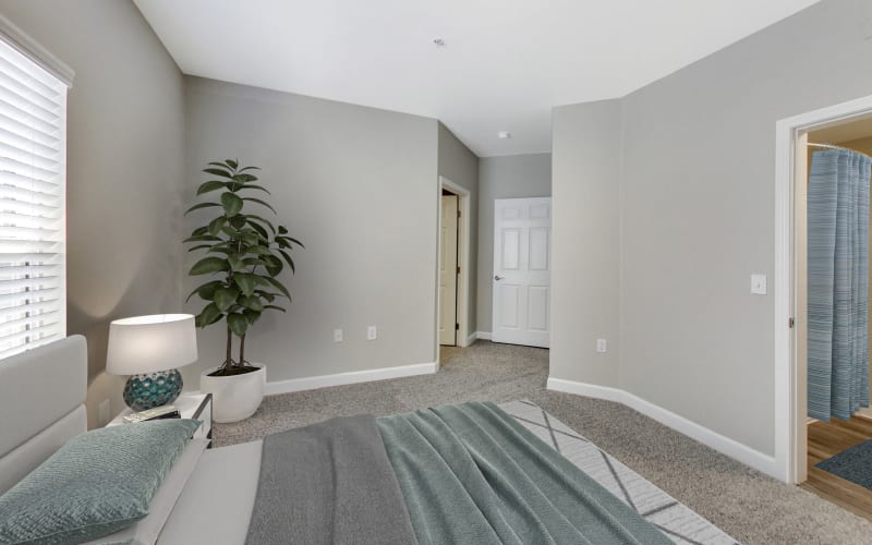 Spacious master bedroom with plush carpeting at Avion Apartments in Rancho Cordova, California