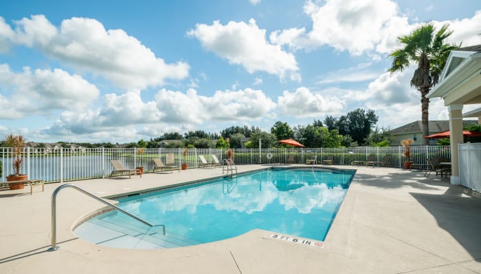 luxury outdoor pool at Walker Woods