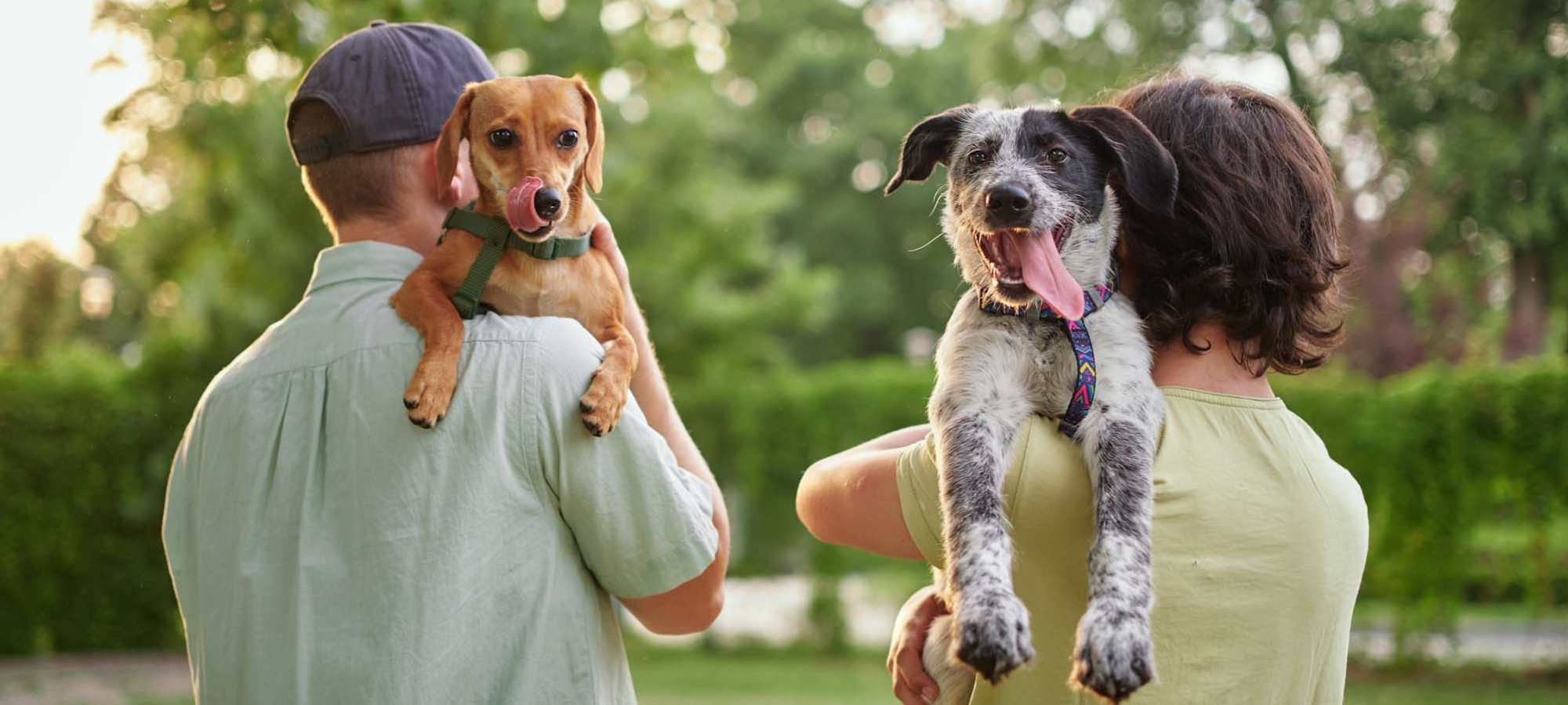 Neighborhood in Gateway Park Apartments in Denver, Colorado