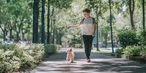 Resident walking their dog at Eclipse 96 in Fair Oaks, California