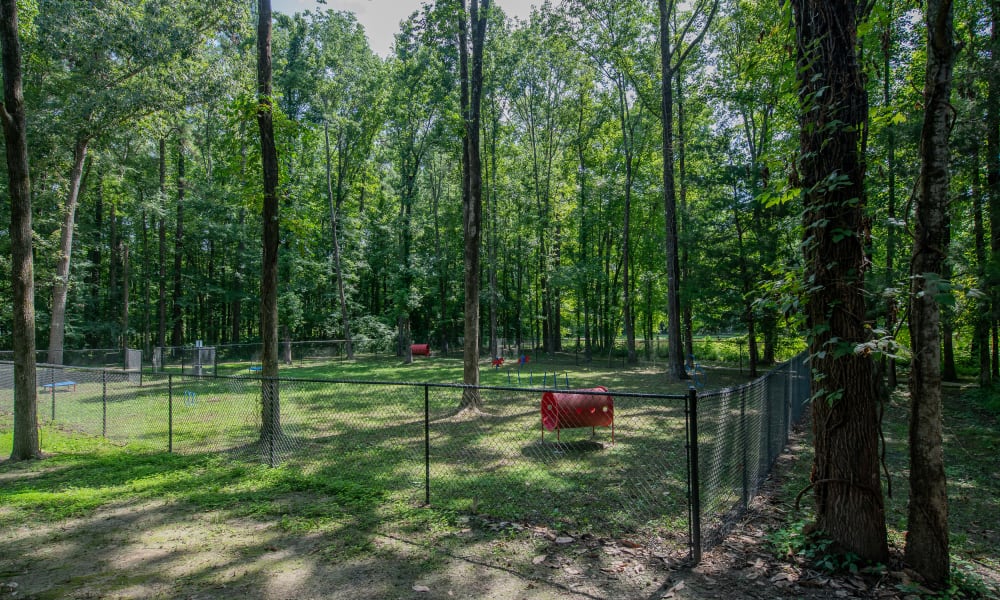 Forest area at The Pointe of Ridgeland in Ridgeland, Mississippi