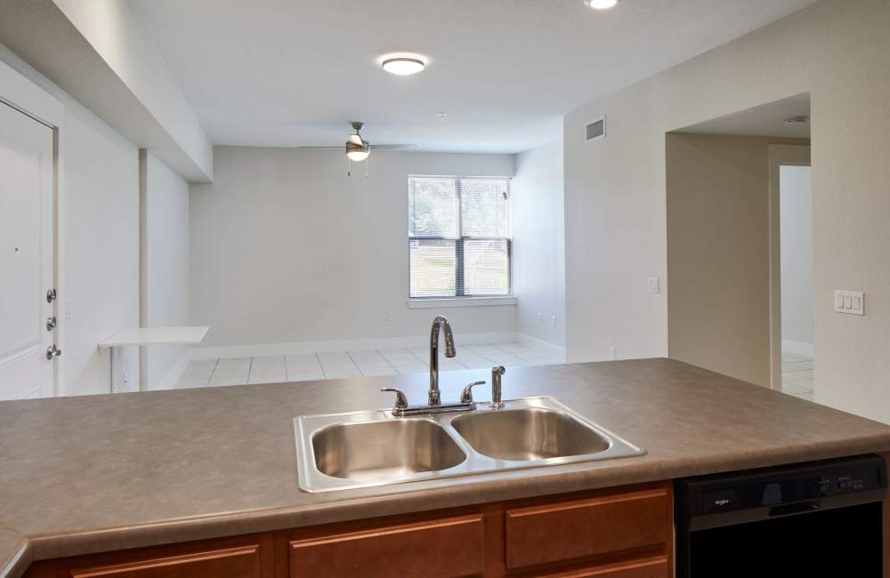 Kitchen with waterfall sink and flat countertop at Cardinal Point in Austin, Texas