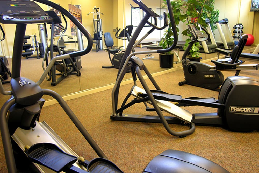 1010 Pacific Apartments in Santa Cruz offers fitness center and more