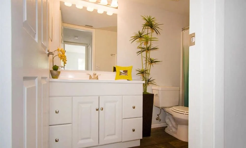 White cabinets in an apartment bathroom at The Granite at Porpoise Bay in Daytona Beach, Florida 