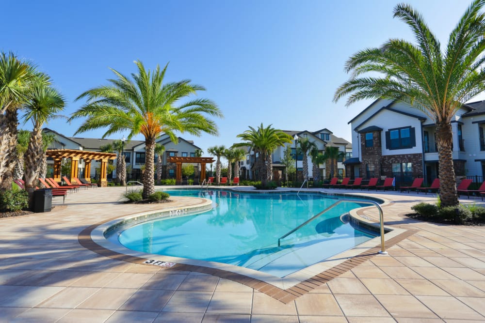 Swimming pool surrounded by palm trees at The Hawthorne in Jacksonville, Florida