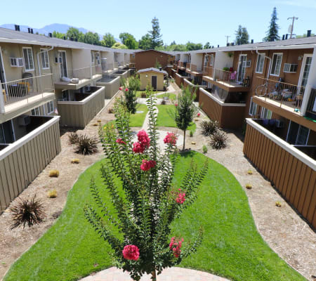 Manicured courtyard at Mountain View Apartments in Concord, California