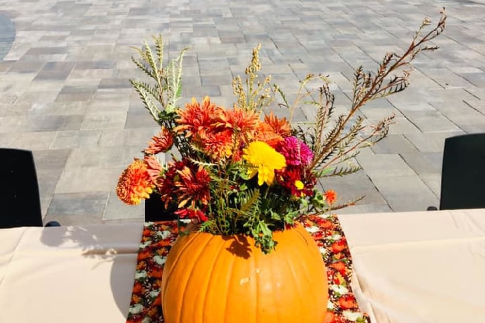 Flowers in a pumpkin at Blossom Ridge in Oakland Charter Township, Michigan