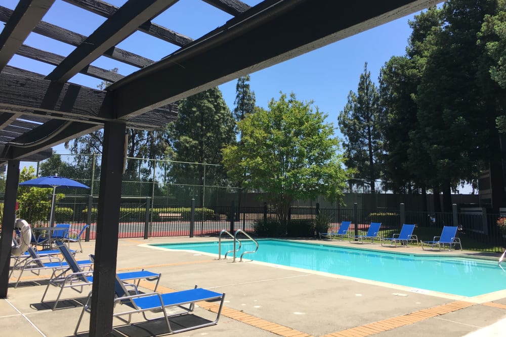 Beautiful resort-style swimming pool with a lush backdrop at Avery Park Apartments in Fairfield, California