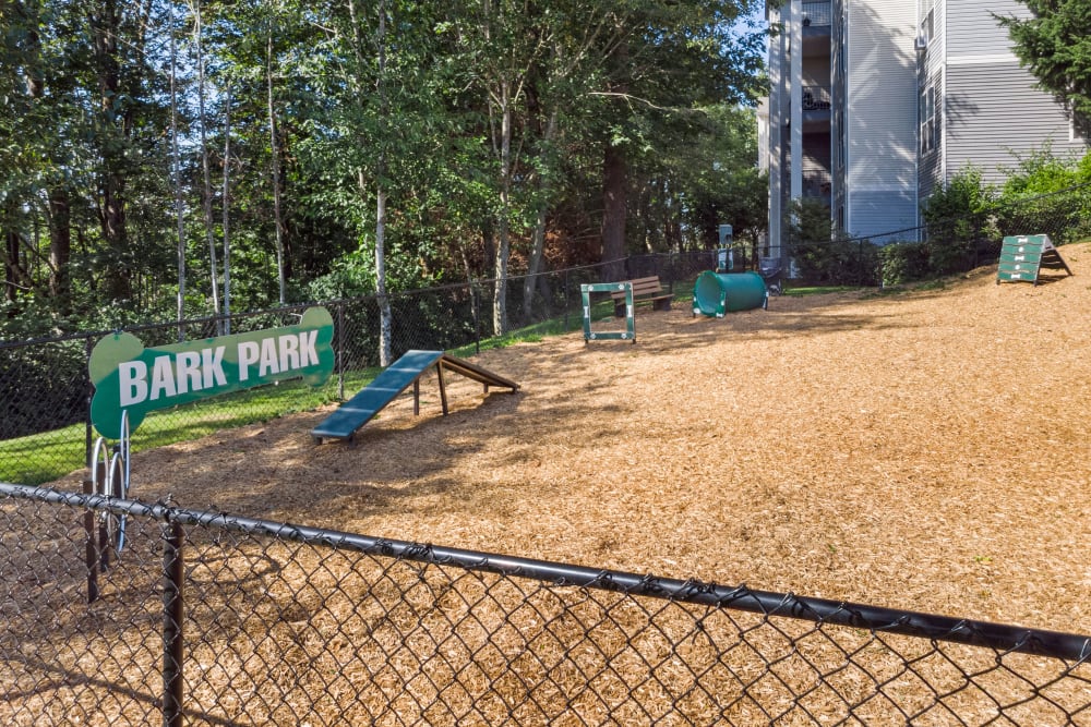 Dog park with toys and obstacles at HighGrove Apartments in Everett, Washington