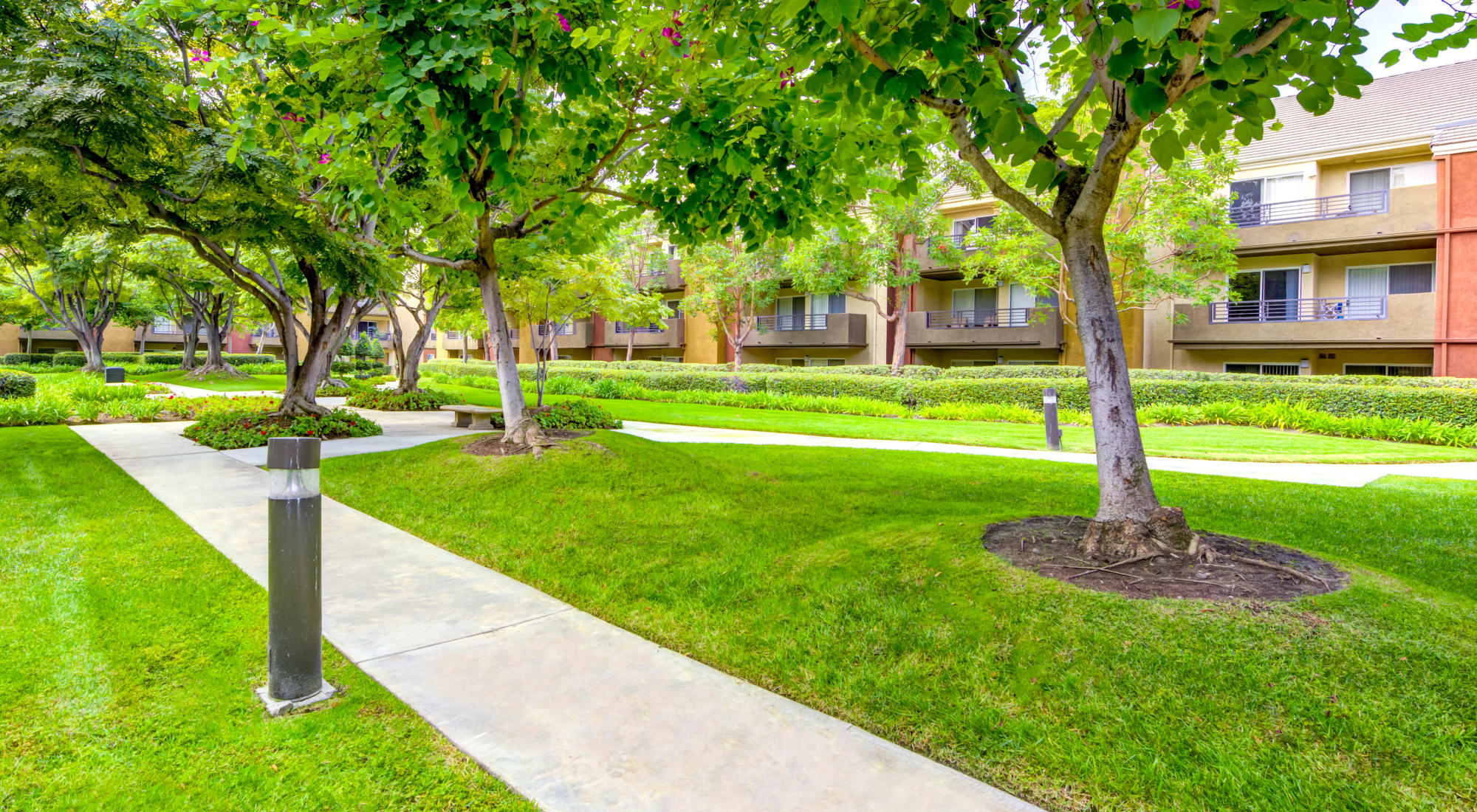 Neighborhood at Sofi Irvine in Irvine, California