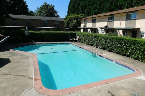 A basketball court that is great for entertaining at Cedar Meadow in Eugene, Oregon