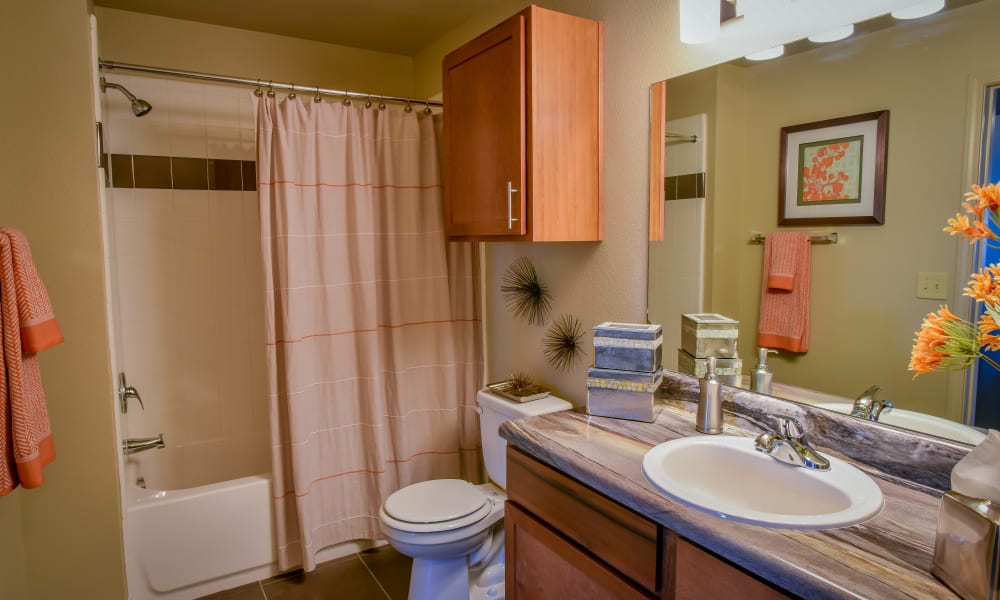 Spacious and clean model bathroom at The Icon at Lubbock in Lubbock, Texas