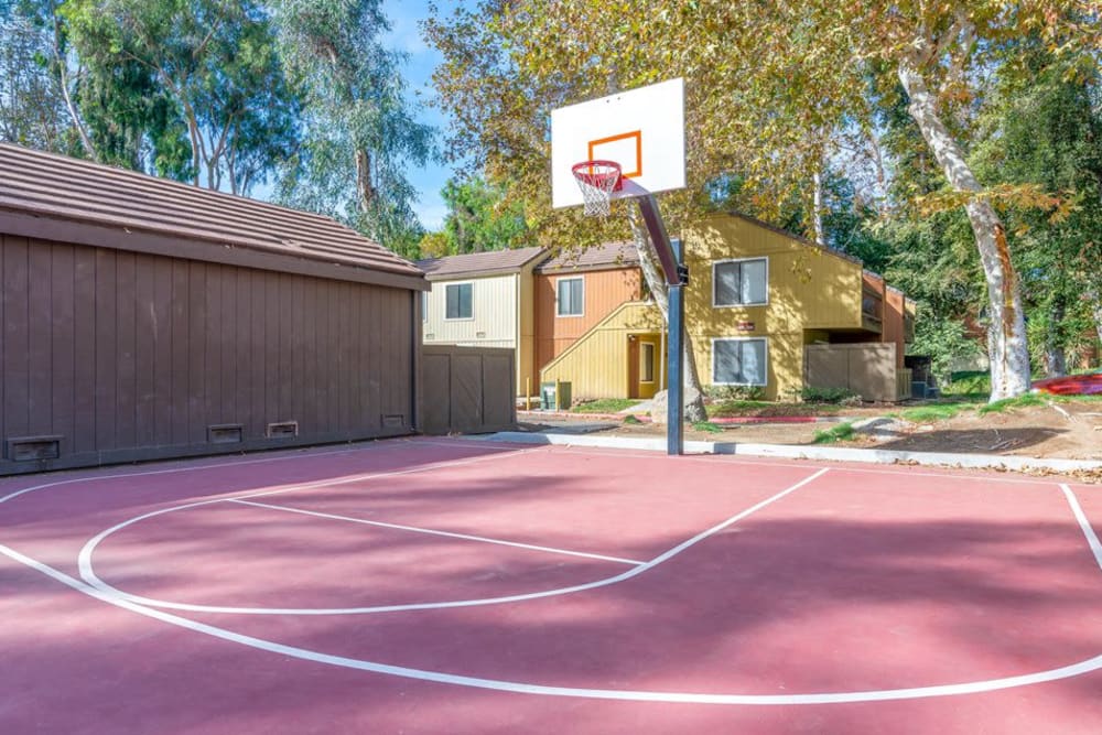 Basketball court at Sycamore Canyons Apartments in Riverside, California