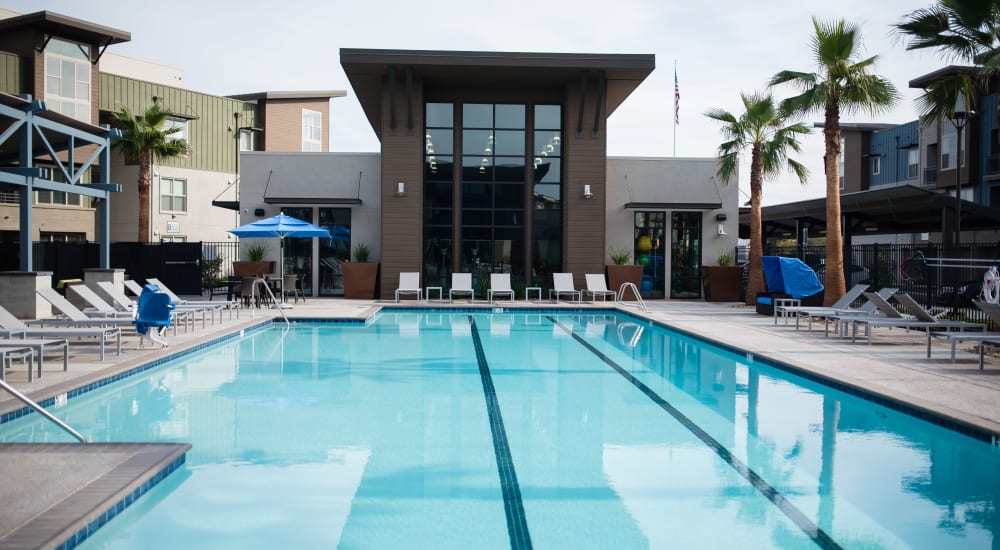 Apartments in Tracy, California - Aspire - Resort-Style Pool with White Lounge Chairs, Blue Umbrellas, Palm Trees, and View of Fitness Center Building in the Background