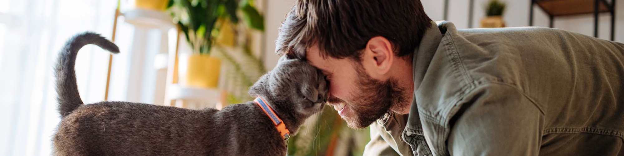 Pet-Friendly | Callaway Village Phase II in Fulton, Missouri