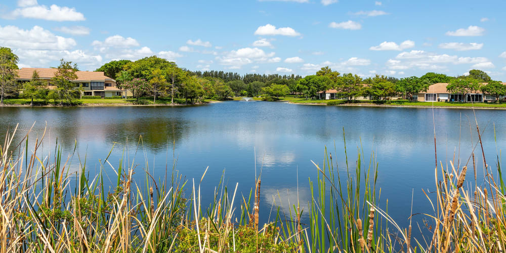 Lake at Whalers Cove Apartments in Boynton Beach, Florida