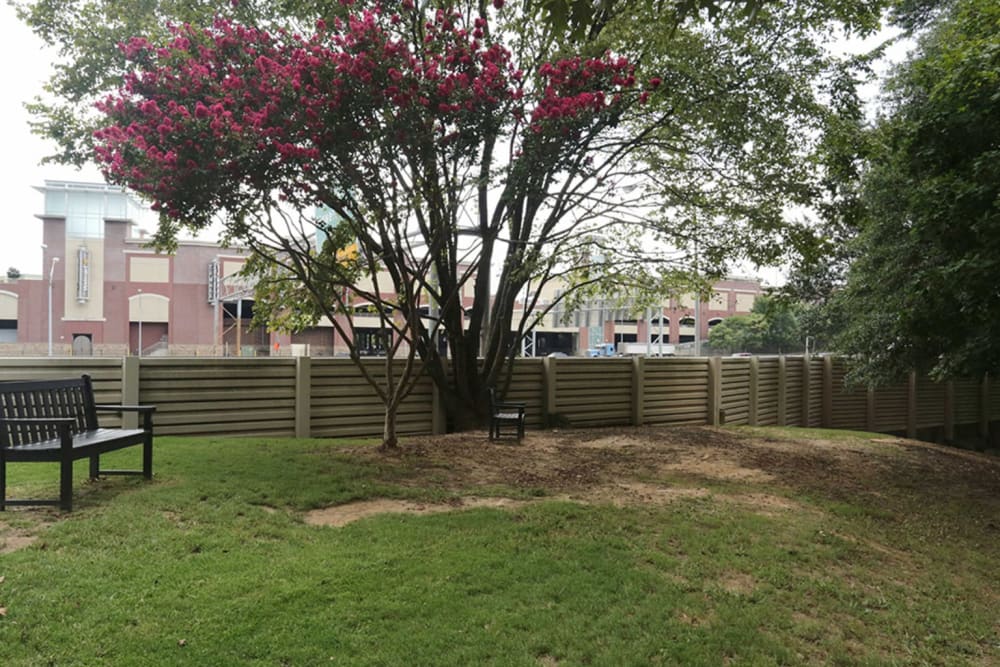 Fenced onsite dog park at Castlegate Collier Hills in Atlanta, Georgia