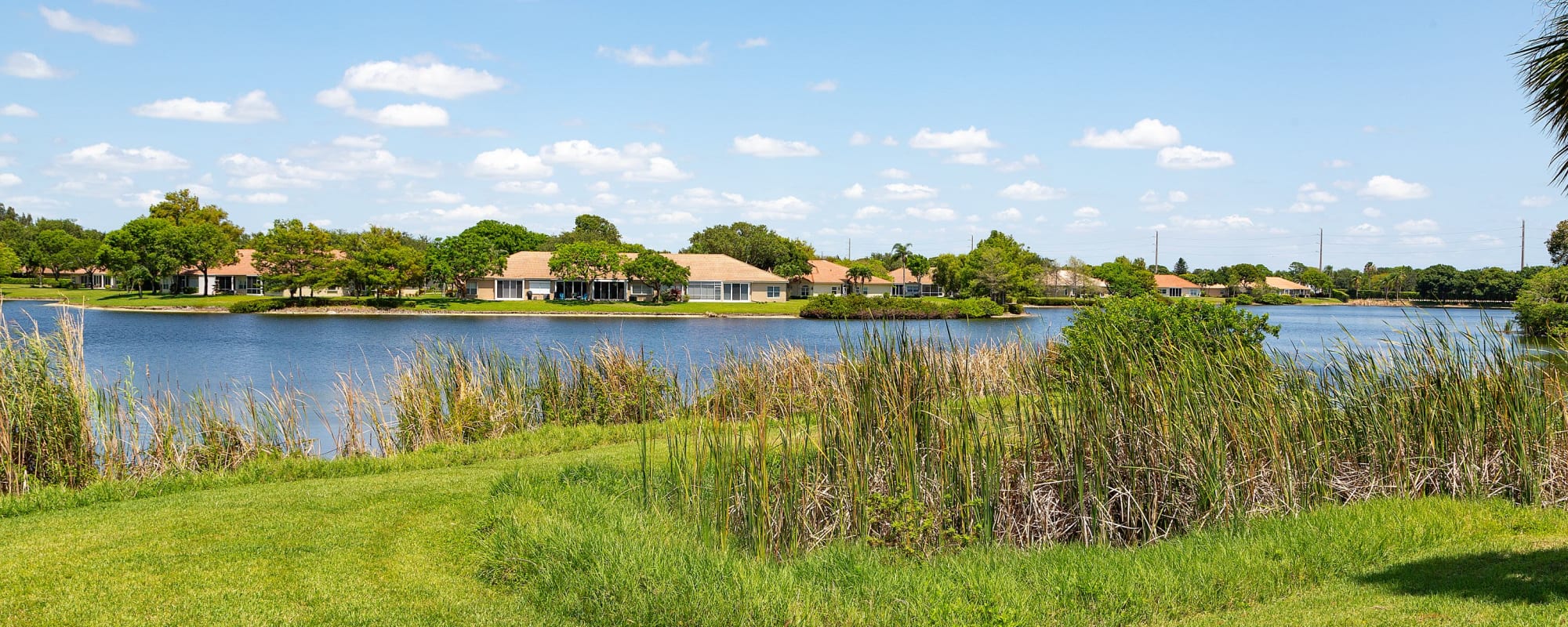 Amenities at Whalers Cove Apartments in Boynton Beach, Florida